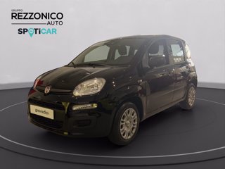 FIAT Pandina 1.0 firefly hybrid Icon s&s 70cv - PRONTA CONSEGNA